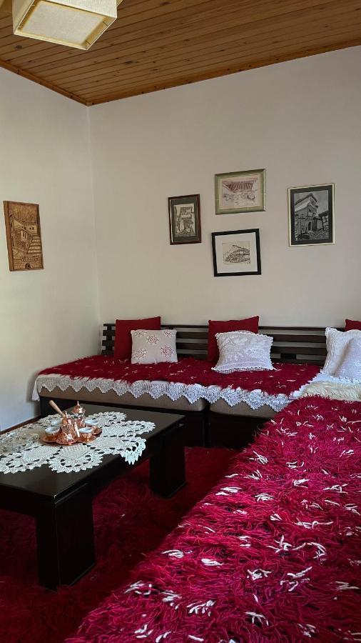 Ana Rest House Hostel 培拉特 外观 照片
